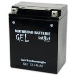 Intact GEL12-14L-A2