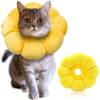 Halskrause Katze von Iospkkio