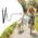 Fahrradleine mit Abstandhalter von Ipetba