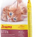 Kitten-Trockenfutter