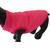 Joydaog Hundejacke Rose XXX-Large