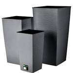 Kadax K4554