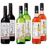 Jechtinger Bio Wein Probierpaket