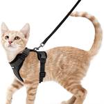 Katzengeschirr