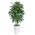 Kunstpflanze Dracaena von Keeplush