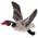Gans Nils von Kerbl Pet