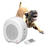 Elektronischer Wachhund