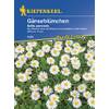 Gänseblümchen Bellis perennis  von Kiepenkerl