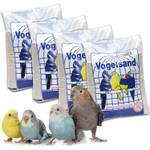 Kieskönig Vogelsand
