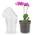 Orchideentopf von Kinglake