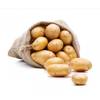 Kartoffel Belana 10 kg von Klaassen
