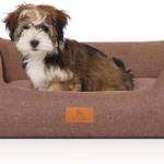 Hundebett