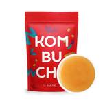 Kombucha-Pilz