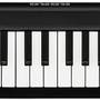 Midi-Keyboard