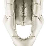 Trockenhaube