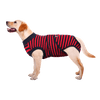 OP-Body Hund