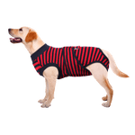 OP-Body Hund