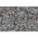 Muschelgrit 5 kg von LanDixx