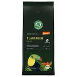 Lebensbaum Plantagen Kaffee