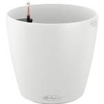 Lechuza Classico Color 21
