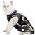 Lianzimau Katzenbody