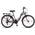 Stella Premium City Bike von Licorne Bike