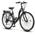 Stella Premium von Licorne Bike