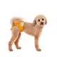 Lill´s Läufigkeitshose Hund Produktvergleich