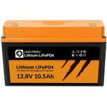Liontron LI1210LX
