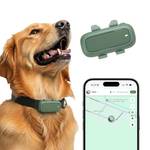 Locogps L2
