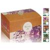 Bonsai Starter Kit von Loveplants