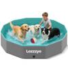 Hundepool von Lozzzyo