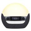 Bodyclock Luxe 750DAB von Lumie