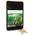 Moso-Riesenbambus von Magic of Nature