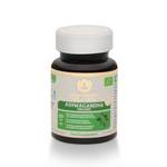 Maharishi Ayurveda Ashwagandha