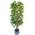 Bambusbaum von Maja Shop