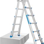 Dachleiter