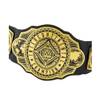 WWE Championship Title Belt HNY45 von Mattel
