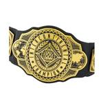 Mattel WWE Championship Title Belt HNY45