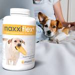Maxxipaws Gelenktabletten
