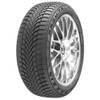 WP6 Premitra Snow von Maxxis