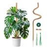 Monstera Rankhilfe von Mcbazel
