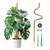 Mcbazel Monstera Rankhilfe
