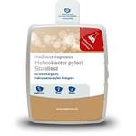 Helicobactertest