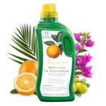 Meine Orangerie FER1001756