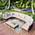 Polyrattan Lounge Set von MFSTUDIO