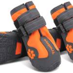 Schneeschuhe für Hunde