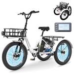 E-Bike Dreirad