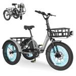 E-Bike Dreirad