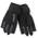 Essential SF von Musto